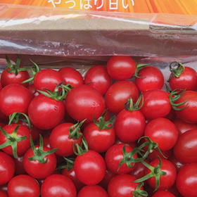 【2.23社群秒杀】34.9元！玲珑千禧小番茄果真甜整箱 约3斤 日期新鲜 甜度高