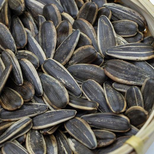 顶山 原味瓜子#159g/袋*4 商品图3