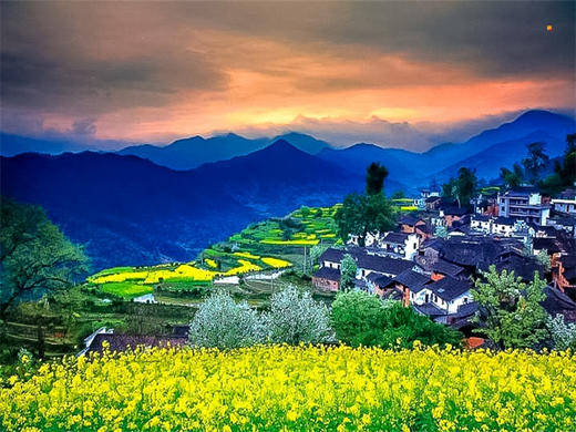 【婺源全景2日】中国最美乡村の赏江岭梯田油菜花-品徽州古村浓郁文化 商品图8