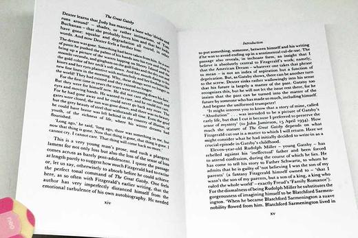 了不起的盖茨比 英文原版小说 The Great Gatsby 英文版 菲茨杰拉德 F Scott Fitzgerald 进口英语书籍 商品图2