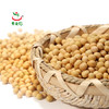 素食猫 绿色黄豆#400g/袋*5 商品缩略图4