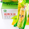 晶彩田园 甜糯玉米#10只/箱*1 商品缩略图0