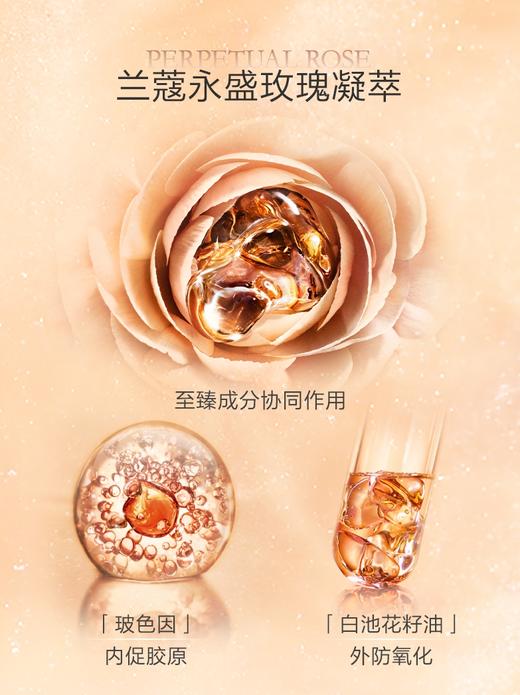 【中欧班列精选】法国兰蔻箐纯面霜 60ml 清爽/滋润 HJ 商品图1