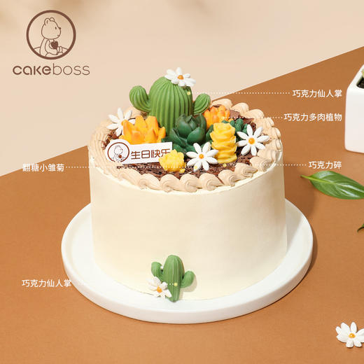 春日限定  “森之物语”多肉乳酪芝士蛋糕 商品图5