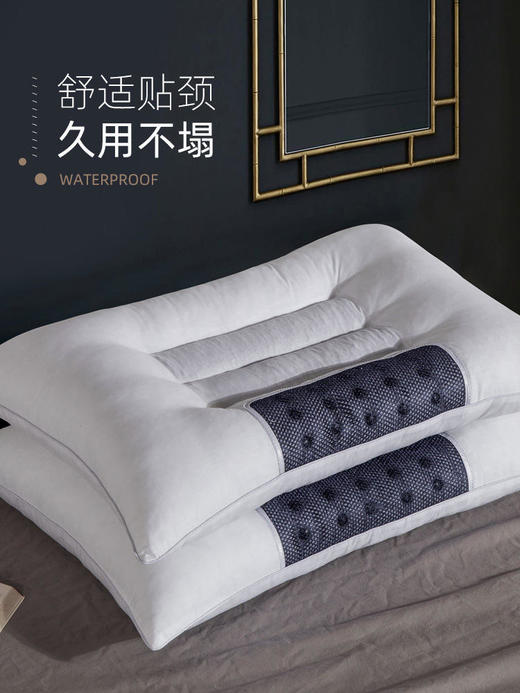 【第二只半价】全棉双边决明子枕头双边磁疗护颈椎助睡眠磁石决明子枕头枕芯成人养生护颈保健枕 商品图3