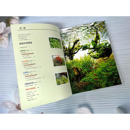 500种造景水草图鉴 水草造景设计书籍 专业水草图鉴书籍 水草缸造景 日本水草专家水草养殖经验书籍 各类水草在草缸中的应用技巧 商品图1