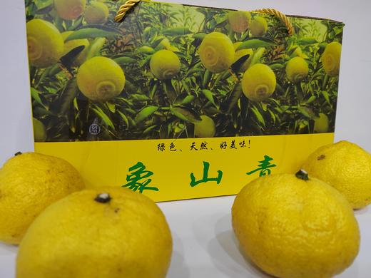 象山青 黄金贡柚品种 汁水丰盈 清甜爽口 不上火 净重5斤 商品图10