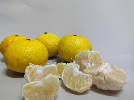 象山青 黄金贡柚品种 汁水丰盈 清甜爽口 不上火 净重5斤 商品图9