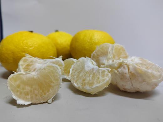 象山青 黄金贡柚品种 汁水丰盈 清甜爽口 不上火 净重5斤 商品图6