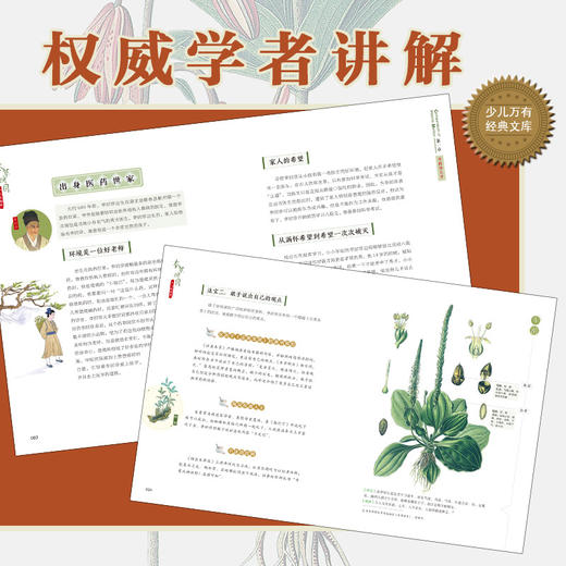 本草纲目：少儿彩绘版（新）少儿万有 商品图2