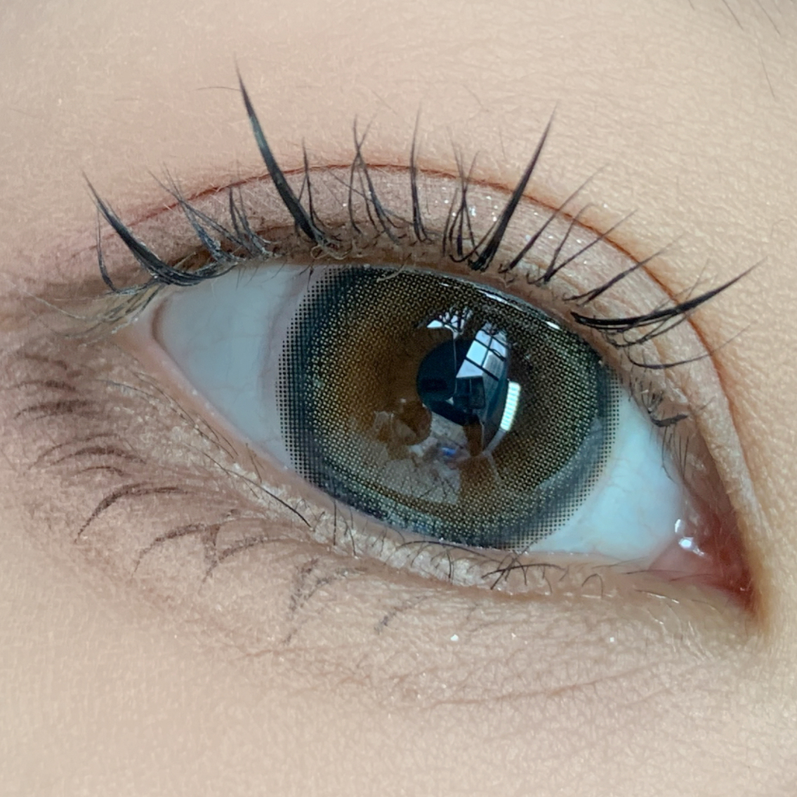 #Pearl 人鱼珍珠 褐色 绿棕【1片装】舒适推荐 / 年抛