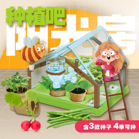上新特惠【一起来种植吧 四季可种盆栽套装】 儿童植物观察窗种子盒 种植阳光房玩具