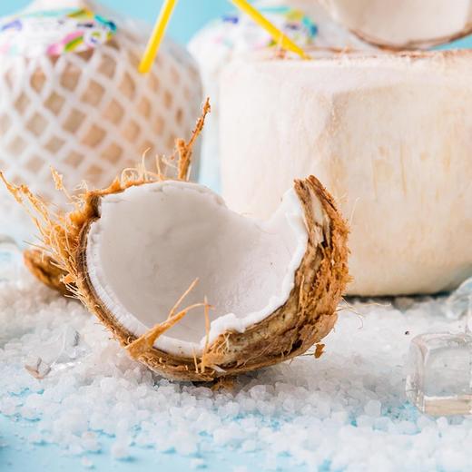 [最农公社]泰国香水椰青9粒装单果重700-900g以上送开椰器椰香浓郁 商品图1