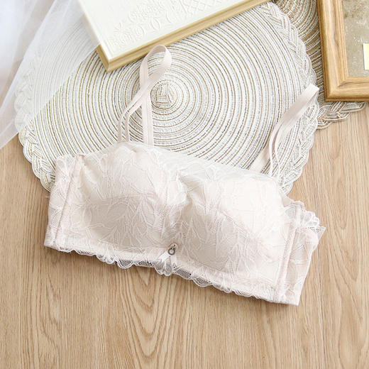 TG-TG02S147性感蕾丝抹胸文胸防走光抹胸式真丝文胸夏季调整型内衣 商品图6