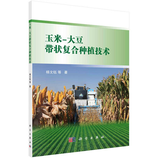 玉米-大豆带状复合种植技术/杨文钰 商品图0