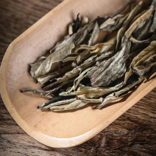 【推荐】云南当年的月光 皓月白霜 357克茶饼 商品图4