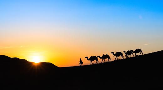 新疆伊犁河谷春色丨吐尔根&大西沟杏花花海、库姆塔格沙漠体验骑骆驼、西游记传奇“火焰山“、大西洋最后一滴眼泪”赛里木湖、那拉提空中草原、安集海大峡谷10天纯玩团 商品图5