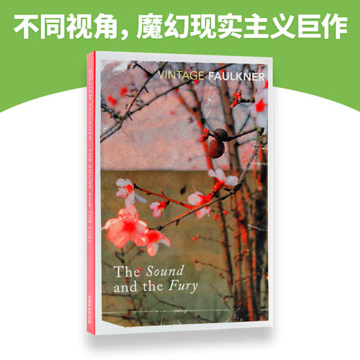 （4折包邮）喧哗与骚动 英文原版 The Sound And The Fury 诺贝尔文学奖 福克纳 William Faulkner 英文版进口 商品图3