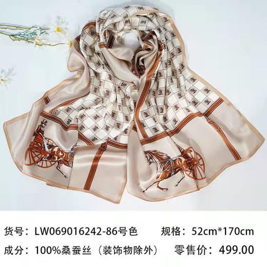 兰诗雨春季欧美风马车款真丝丝巾 商品图3