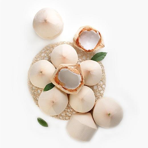 [最农公社]泰国香水椰青9粒装单果重700-900g以上送开椰器椰香浓郁 商品图8