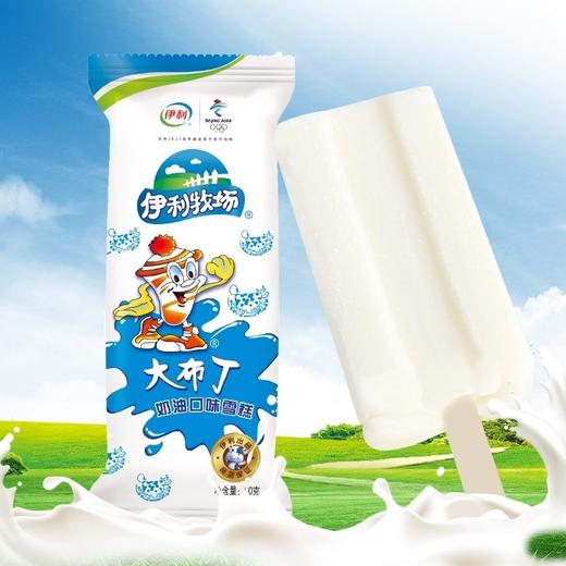 伊利牧场大布丁   小布丁奶油口味冷饮冰激凌冰淇淋经典雪糕整箱60g*40支 商品图1