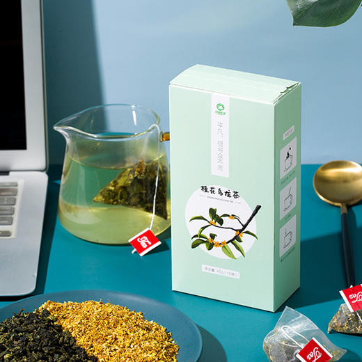 【好食庄园】桂花乌龙茶花 花草水果三角b包热冷泡非铁观音茶绿红茶 商品图1