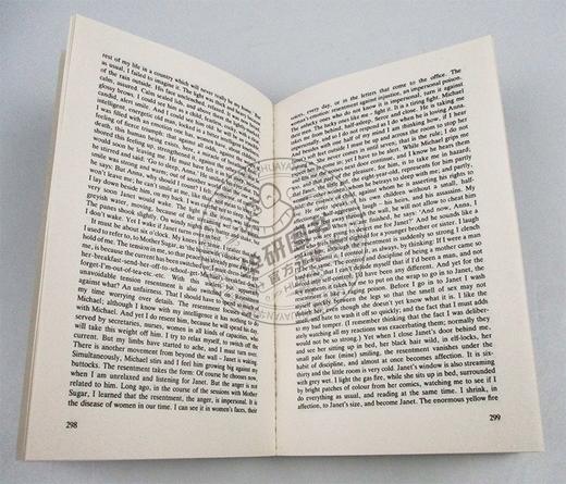 Collins 金色笔记本 英文原版小说 The Golden Notebook 英版 英文版 进口原版英语书籍 商品图2