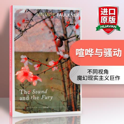 （4折包邮）喧哗与骚动 英文原版 The Sound And The Fury 诺贝尔文学奖 福克纳 William Faulkner 英文版进口 商品图0