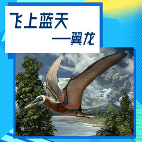 【北京】飞上蓝天/翼龙