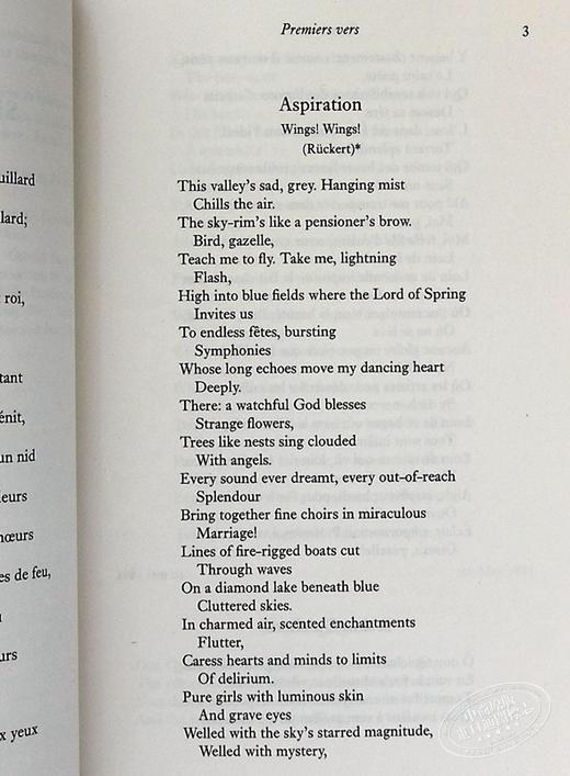 【中商原版】保尔·魏尔伦诗选（牛津世界经典系列）英文原版 Selected Poems (Oxford Worlds Classics) 商品图5