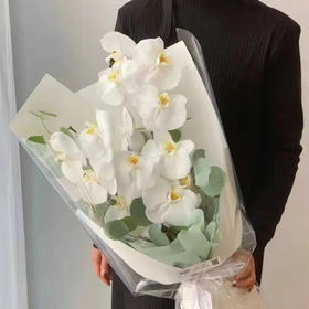 大花蝴蝶兰高级定制花花礼