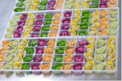 藜麦胚芽果蔬馄饨 商品图1