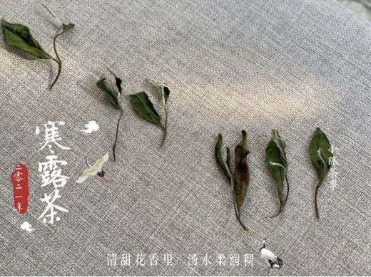 2021寒露茶（60克罐装），素雅若九秋菊，莹莹似月中之月 商品图3