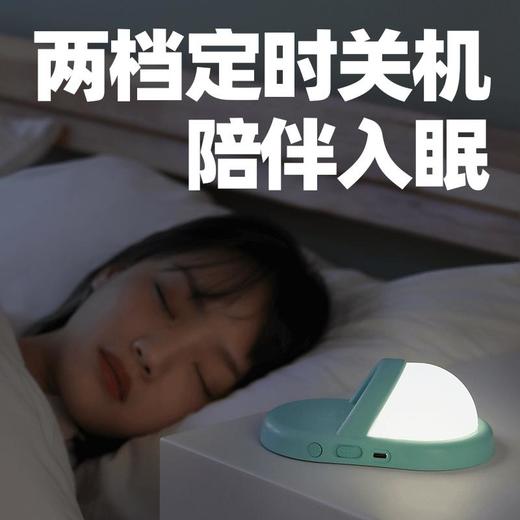 极地物种躺平拖鞋卧室usb小夜灯床头灯护眼充电款 商品图1