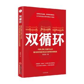 双循环 袁国宝 著 商业财富