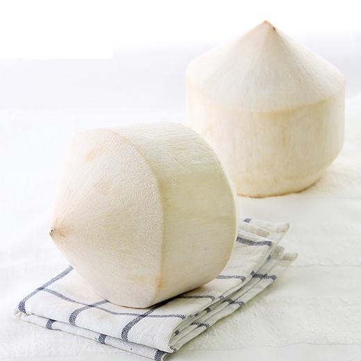 [最农公社]泰国香水椰青9粒装单果重700-900g以上送开椰器椰香浓郁 商品图7