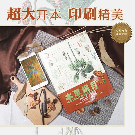 本草纲目：少儿彩绘版（新）少儿万有 商品图4