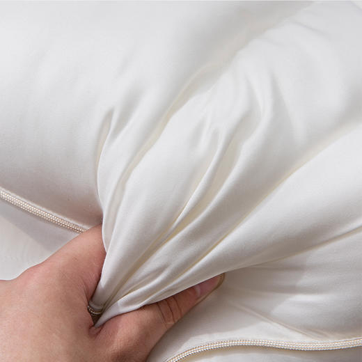 【门店同款玻尿酸枕】玻尿酸枕芯单人成人简约舒适高中低柔软护颈椎五星级酒店枕头 商品图14