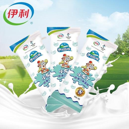 伊利牧场大布丁   小布丁奶油口味冷饮冰激凌冰淇淋经典雪糕整箱60g*40支 商品图2