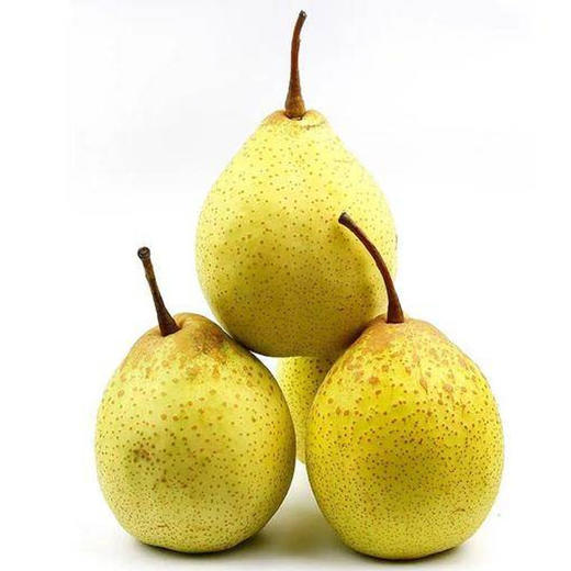 【10元4斤】鸭梨（1500058） 商品图0