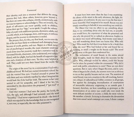 蓝色的眼睛 英文原版小说 The Bluest Eye 最蓝的眼睛 英文版 Toni Morrison 托妮莫里森 进口英语书籍 诺贝尔文学奖 商品图2