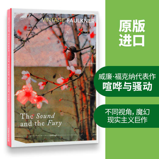 （4折包邮）喧哗与骚动 英文原版 The Sound And The Fury 诺贝尔文学奖 福克纳 William Faulkner 英文版进口 商品图2