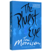 蓝色的眼睛 英文原版小说 The Bluest Eye 最蓝的眼睛 英文版 Toni Morrison 托妮莫里森 进口英语书籍 诺贝尔文学奖 商品缩略图4