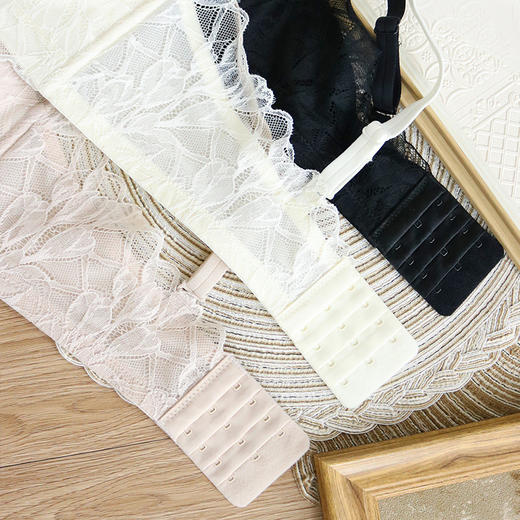 TG-TG02S147性感蕾丝抹胸文胸防走光抹胸式真丝文胸夏季调整型内衣 商品图3