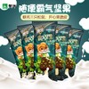 蒙牛随变霸气坚果榛子开心果脆皮冰淇淋雪糕冰激凌三只松鼠15支 商品缩略图0