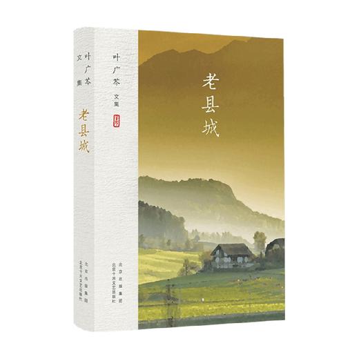 叶广芩文集 老县城 叶广芩 著 文学 商品图0