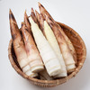 临安天目山春笋 | 春季限定美味 正宗原产地现挖现发 皮薄肉厚鲜嫩美味 精挑细选去除老根 煲汤炒菜皆成美味 商品缩略图1