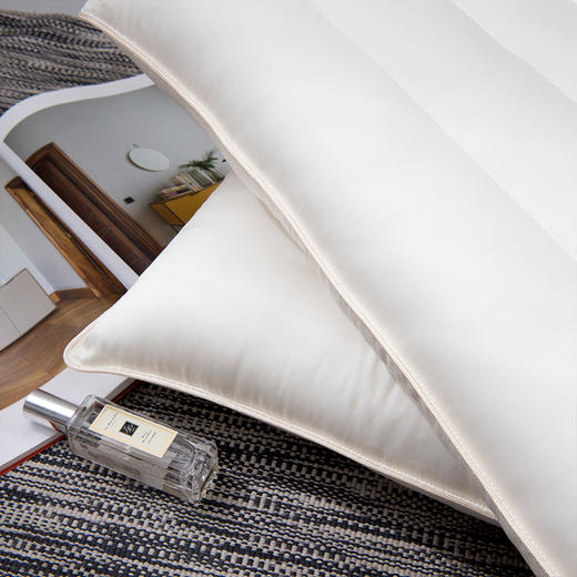 【门店同款玻尿酸枕】玻尿酸枕芯单人成人简约舒适高中低柔软护颈椎五星级酒店枕头 商品图13