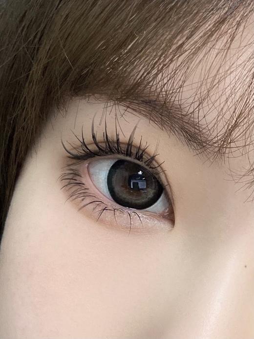 半年抛丨芝麻丸·Haniicon丨14.5mm（半年抛/2片装） 商品图9