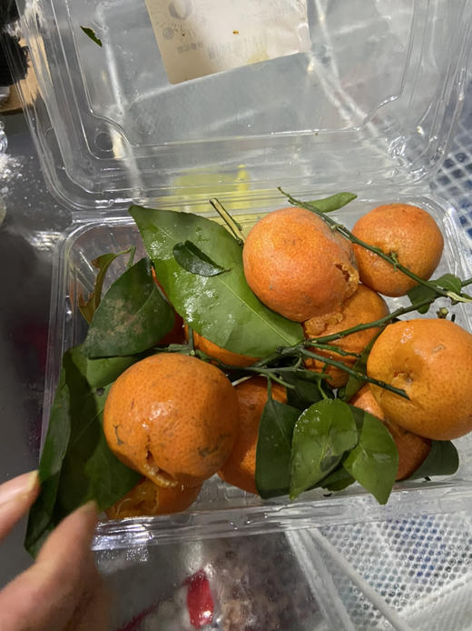 尚军测试购买权限 商品图0